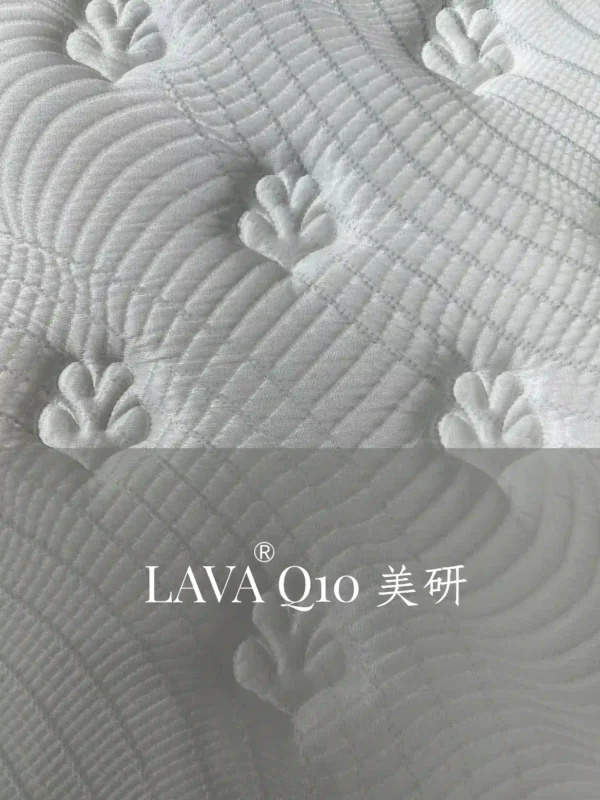 LAVA webp 2